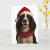 Black and white Springer Spaniel Christmas card Karte (Gelbe Blume)