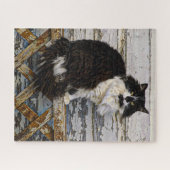 Black and White Stray Cat on Wood Lattice Fence Puzzle (Horizontal)