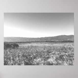 Black and White Sunny Field Santa Barbara Cali Poster