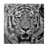 Black and White Tiger Face Fliese (Vorderseite)