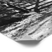 BLACK AND WHITE TREES AND GATE LANDSCAPE POSTER (Ecke)