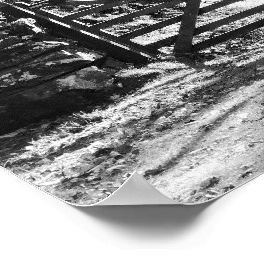 BLACK AND WHITE TREES AND GATE LANDSCAPE POSTER (Ecke)