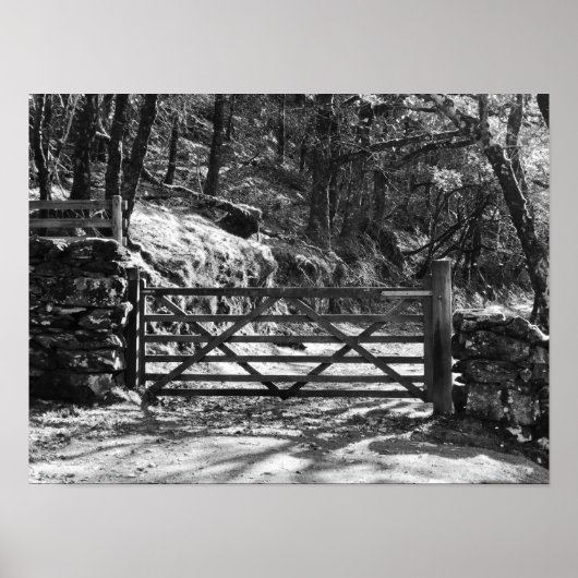 BLACK AND WHITE TREES AND GATE LANDSCAPE POSTER (Vorne)