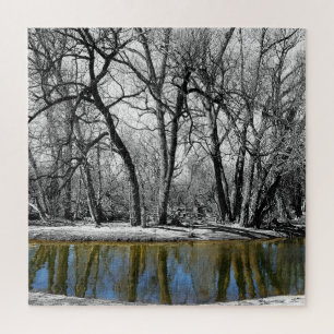 Black and White Trees Blue Water Reflection Puzzle