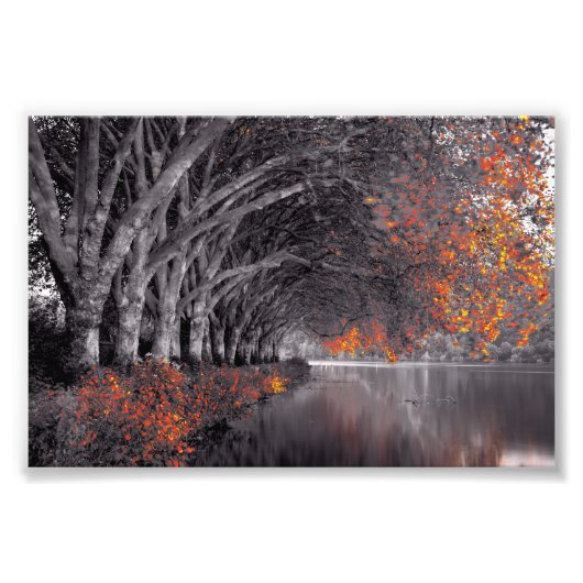 Black and White Trees. Reflection in a lake. Fotodruck (Vorne)
