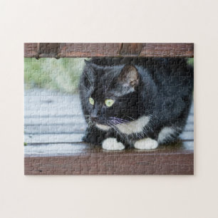 Black and White Tuxedo Cat Photo Puzzle