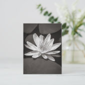 Black and White Water Lily Postkarte (Stehend Vorderseite)