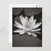 Black and White Water Lily Postkarte (Vorne/Hinten)