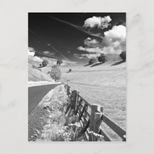 Black and White Yorkshire Postkarte