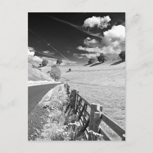 Black and White Yorkshire Postkarte (Vorderseite)