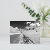 Black and White Yorkshire Postkarte (Stehend Vorderseite)