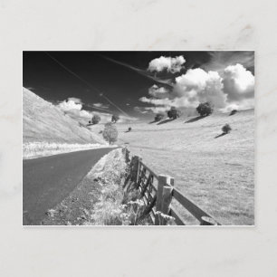 Black and White Yorkshire Postkarte