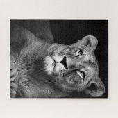 black and whiter Lion Puzzle (Horizontal)