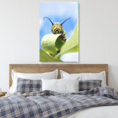 Black and yellow caterpillar leinwanddruck (Insitu (Schlafzimmer))