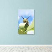 Black and yellow caterpillar leinwanddruck (Insitu (Holzboden))