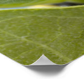 Black and yellow caterpillar poster (Ecke)