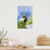 Black and yellow caterpillar poster (Küche)