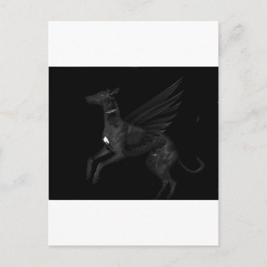 Black Angel Greyhound Postkarte (Vorderseite)