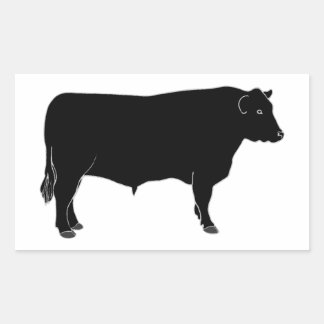 Black Angus Bull Rechteckiger Aufkleber