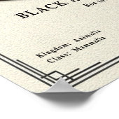 Black Angus Bull Zoologie-Serie Poster (Ecke)