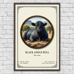 Black Angus Bull Zoologie-Serie Poster