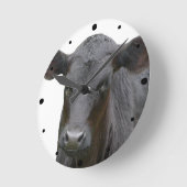 Black Angus Calf Animal Fotograph Runde Wanduhr (Winkel)