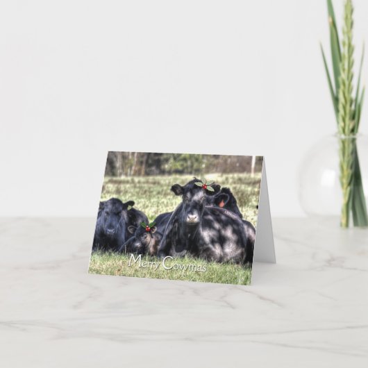 Black Angus Holly Merry Cowmas Grüße Feiertagskarte (Vorderseite)