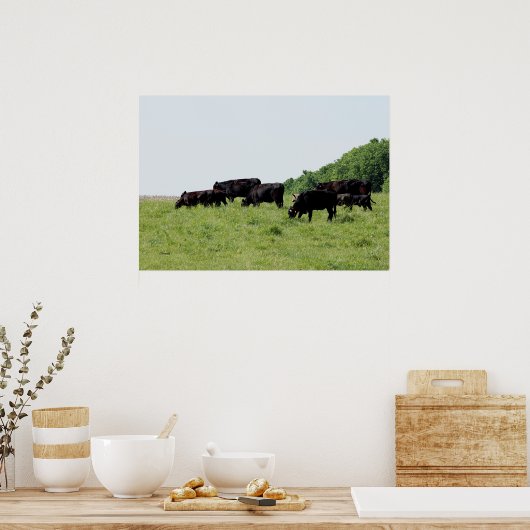 Black Angus Poster (Küche)