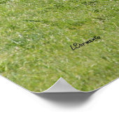 Black Angus Poster (Ecke)