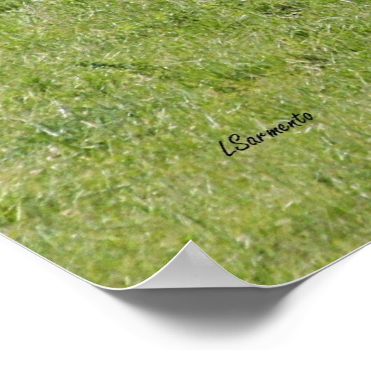 Black Angus Poster (Ecke)