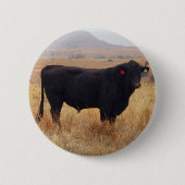 Black Angus Steer Grazing mit Herde Button (Vorderseite)