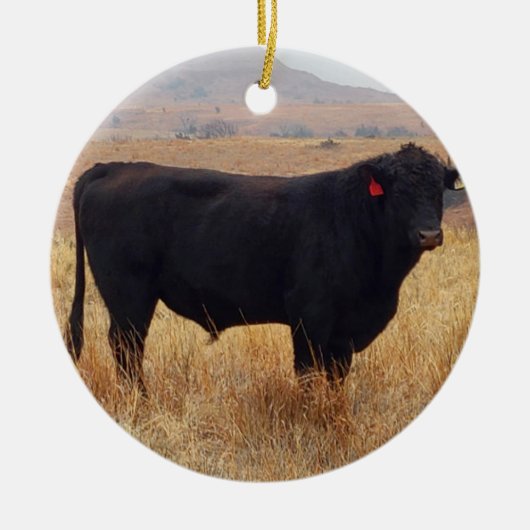 Black Angus Steer Grazing mit Herde Keramik Ornament (Vorne)