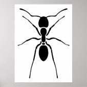 Black Ant Poster (Vorne)