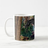 Black Appaloosa Horse Waterfall Hintergrund Kaffeetasse (Links)