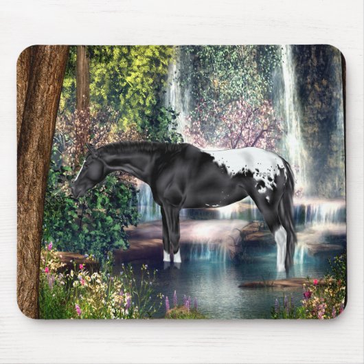 Black Appaloosa Horse Waterfall Hintergrund Mousepad (Vorne)