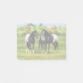 Black Appaloosa Horses In Summer Pasture Post-it Klebezettel (Vorderseite)