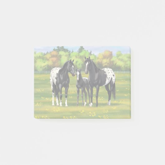 Black Appaloosa Horses In Summer Pasture Post-it Klebezettel (Vorderseite)