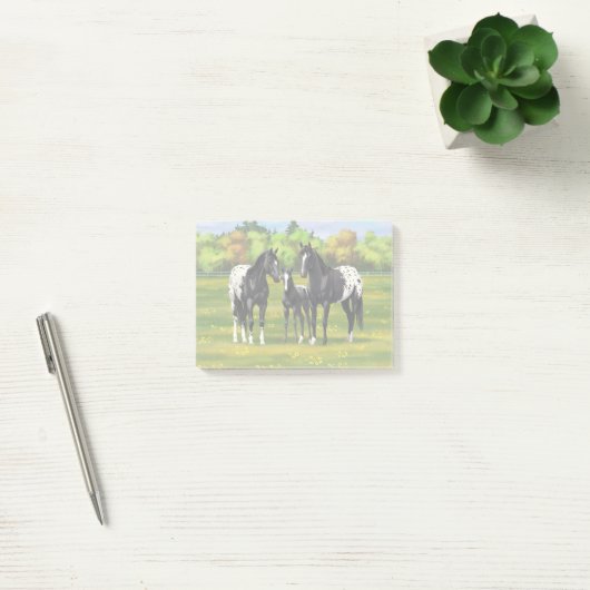 Black Appaloosa Horses In Summer Pasture Post-it Klebezettel (Büro)