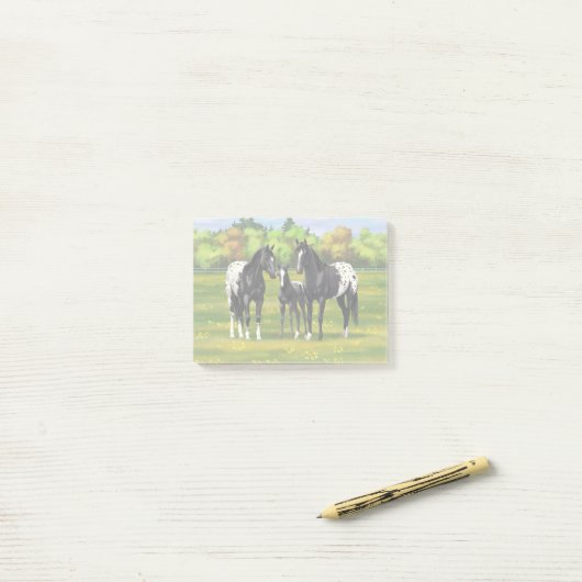 Black Appaloosa Horses In Summer Pasture Post-it Klebezettel (Auf Schreibtisch)