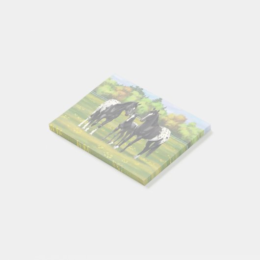 Black Appaloosa Horses In Summer Pasture Post-it Klebezettel (angewinkelt)