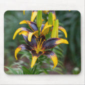 Black Asiatic Lily, Dark Floral Photography Mousepad (Vorne)