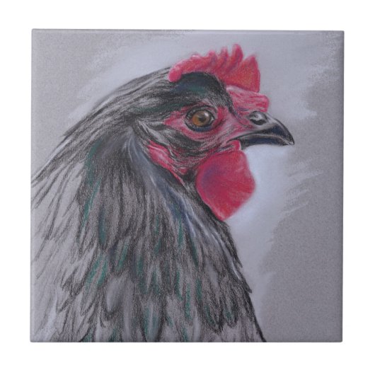 Black Australorp Hen Fliese (Vorderseite)