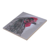 Black Australorp Hen Fliese (Seite)