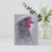 Black Australorp Hen Postkarte (Stehend Vorderseite)