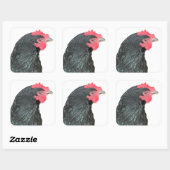 Black Australorp Hen Quadratischer Aufkleber (Blatt)