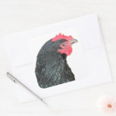 Black Australorp Hen Quadratischer Aufkleber (Umschlag)