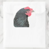 Black Australorp Hen Quadratischer Aufkleber (Tasche)
