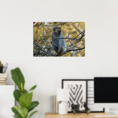 Black Baboon Poster (Heimbüro)
