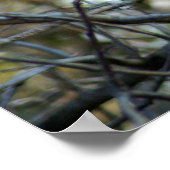 Black Baboon Poster (Ecke)