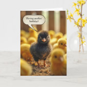 Black Baby Chick Birthday Spaß Karte (Gelbe Blume)